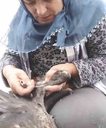 Trabzon'da Karabatak Kurtarma Operasyonu Gülümsetti