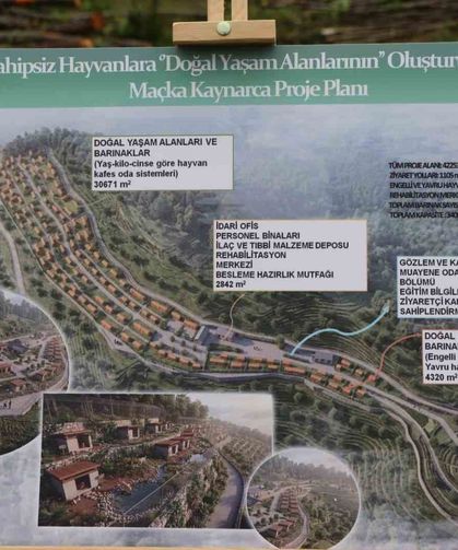Trabzon'da Sokak Köpeklerine Ev Sahipliği Yapacak Yeni Bir Barınak İnşa Edilecek