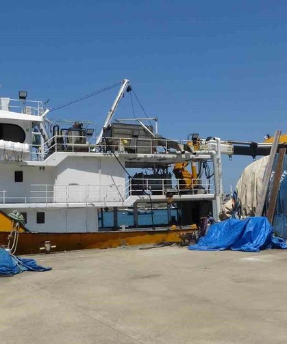 Balıkçıların Yeni Sezonda Umudu Palamut