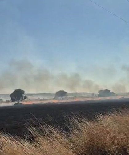 Eskişehir'de Yangın: 3 Köye Sıçradı Yayılmaya Devam Ediyor