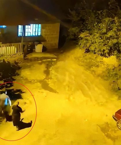 Ayının Sesini Duyunca Sırra Kadem Bastılar