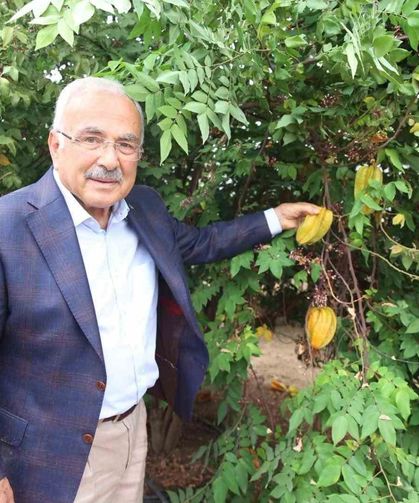 Tropikal Meyveler Karadeniz'i Sevdi