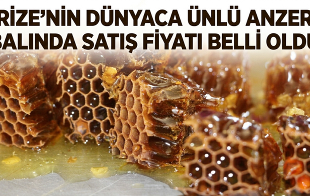 Rize’nin Dünyaca Ünlü Anzer Balında Satış Fiyatı Belli Oldu