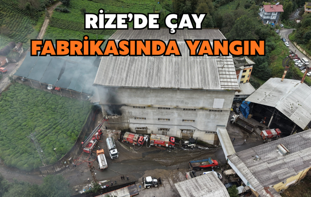Çayeli'de Fabrika Yangını