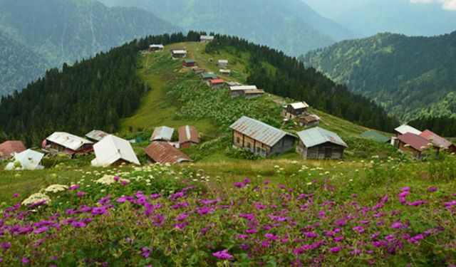 Şirin Rize