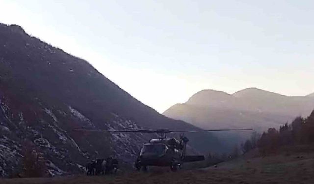 Domuz sürüsü saldırdı, uçurumdan düştü: Helikopterle hastaneye ulaştırıldı