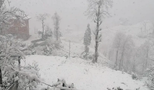 Rize’de Soğuk Hava Ve Yoğun Kar Yağışı Bekleniyor!