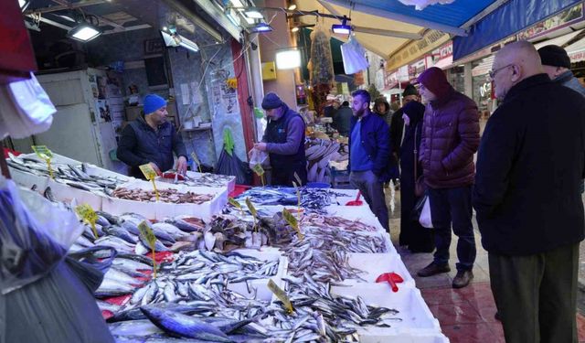 Sibirya Soğukları Hamsiye Yaradı