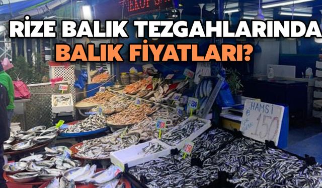 Rize’de Balık Fiyatları?