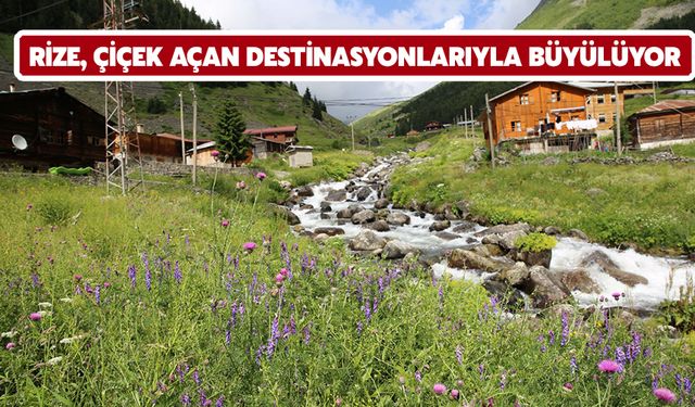 Rize, Çiçek Açan Destinasyonlarıyla Büyülüyor