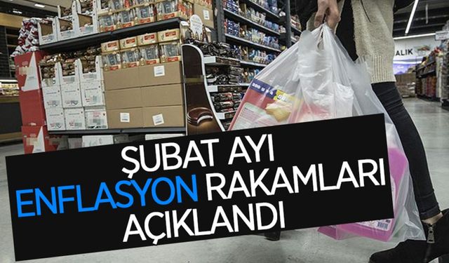 Şubat Ayı Enflasyon Rakamları Açıklandı