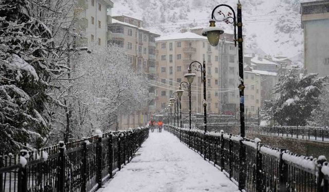 Gümüşhane’de Mevsim Bir Gecede Bahardan Kışa Döndü