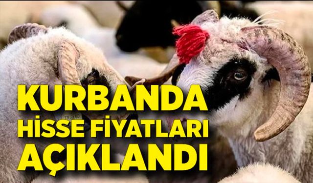 Kurbanda Hisse Fiyatları Açıklandı