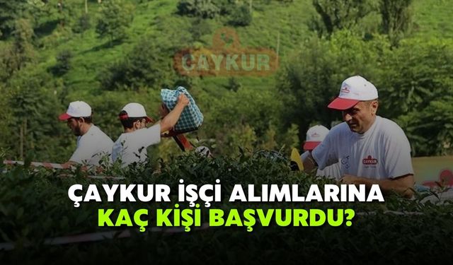 ÇAYKUR Mevsimlik İşçi Alımına Kaç Kişi Başvurdu?