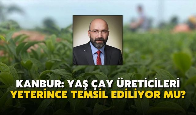 Kanbur: Yaş Çay Üreticileri Yeterince Temsil Ediliyor mu?