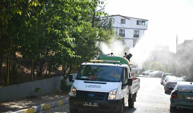 Bulaşıcı hastalıklara karşı ilaçlama yapılıyor