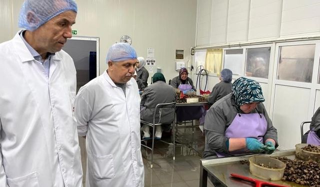 Bilecik’te kırsal kalkınma yatırımlarına destek sürüyor