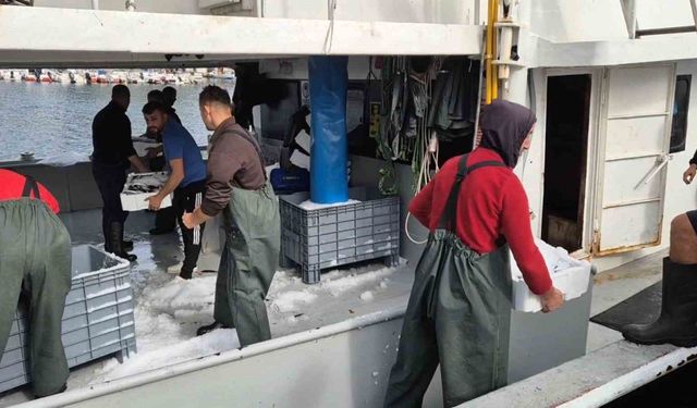 Kasa Kasa Balıkla Döndüler