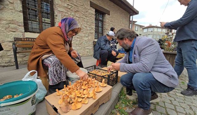 Tezgahlarda Kanlıca Bolluğu Yaşanıyor: Kilosu 500 Tl