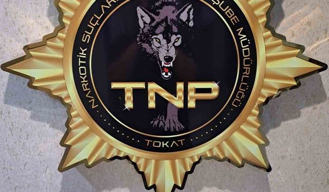 Tokat’ta Uyuşturucu Operasyonu, 500 İçimlik Bonzai Ele Geçirildi