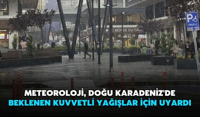 Meteoroloji, Doğu Karadeniz'de Beklenen Kuvvetli Yağışlar İçin Uyardı