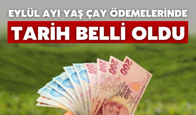 Eylül Ayı Yaş Çay Ödemelerinde Tarih Belli Oldu