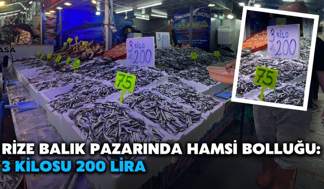 Rize Balık Pazarında Hamsi Bolluğu: 3 Kilosu 200 Lira