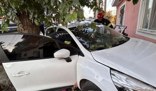 Denizli’de Yoldan Çıkan Otomobil Önce Ağaca Sonra Eve Çarptı
