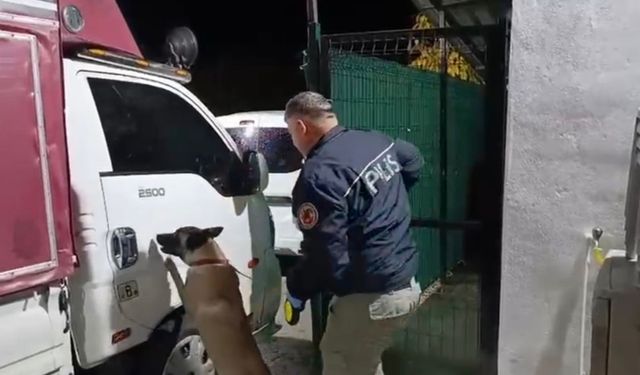 Kamyonete Gizlenmiş Uyuşturucuyu Dedektör Köpeği Buldu: 4 Kilo Uyuşturucu Ve 4 Bin Adet Hap Ele Geçti
