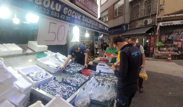 Karadeniz Hamsisi Tezgahları Doldurdu: Kilosu 50 Lira