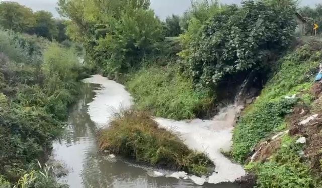 Gemlik Körfezi'nde Kirlilik Endişeye Yolaçıyor