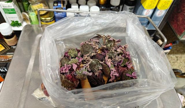 Geçmeyen öksürüğe ‘bitkisel’ karışım