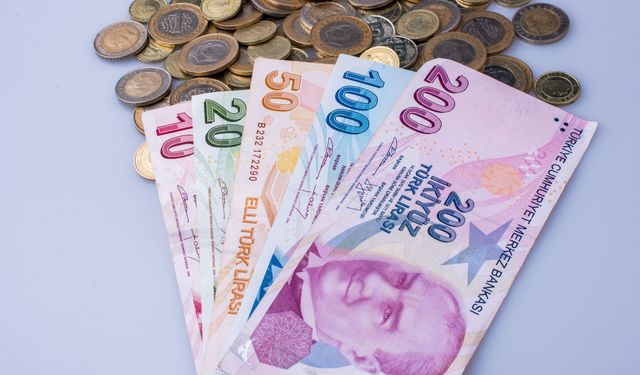 Çalışan Emeklileri Yakından İlgilendiren Maaş Düzenlemesi