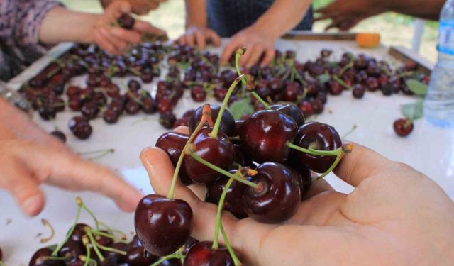 15 Aralık’ta Okullarda "Coğrafi İşaret Günü" Kutlanacak