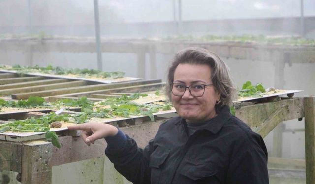 Trabzon’dan Dünyaya ’Googlis