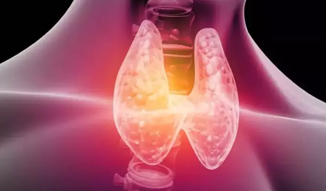 Uzmanından Uyarı: "Tiroit Bozuklukları Enerji Dengesini Olumsuz Etkiliyor