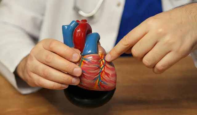 Uzmanlar Uyardı: 'Plastisite Sağlığı Tehdit Ediyor