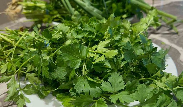 Grip Vakaları Artıyor; C Vitaminini Yanlış Besinde Aramayın