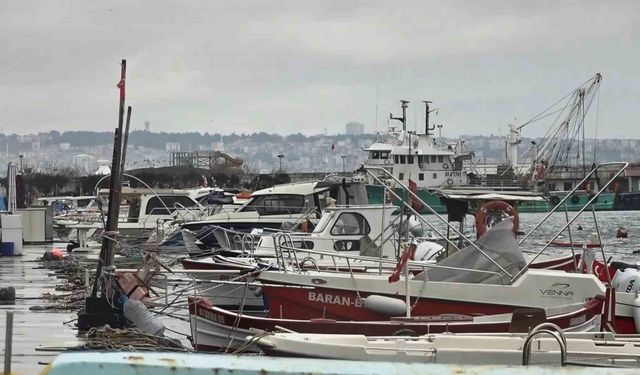 Uyanık Lüfer Karadeniz Zekasını Kullandı