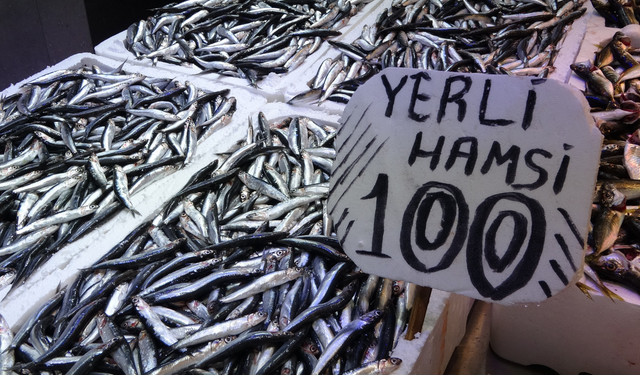 Son Yılların En Uzun Hamsi Sezonu Yaşanıyor