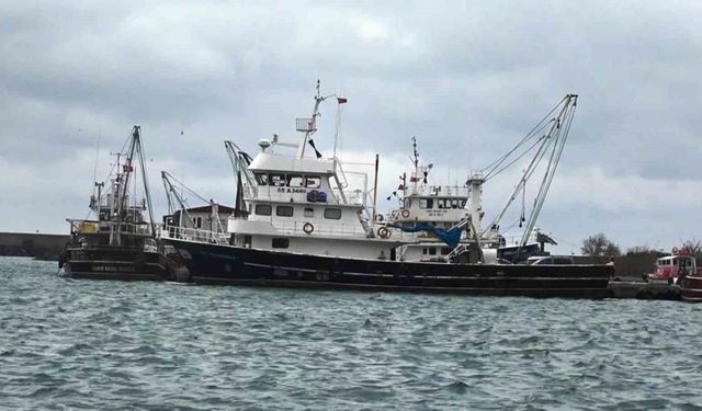 Samsun'dan 20 Bin Ton Su Ve Hayvansal Ürün İhracatı