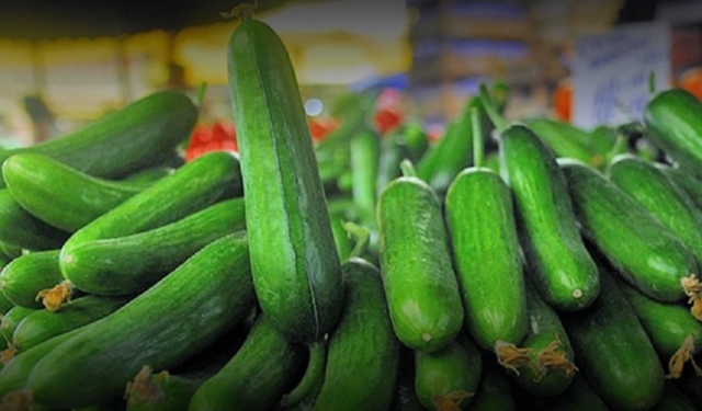 Şubat Ayında En Çok Salatalık Pahalandı