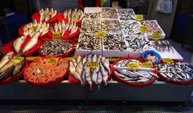 Hamside Beklenen Son