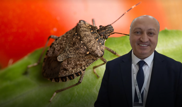 Karadeniz'in Kabusu Kokarca İçin Umut Veren Açıklama