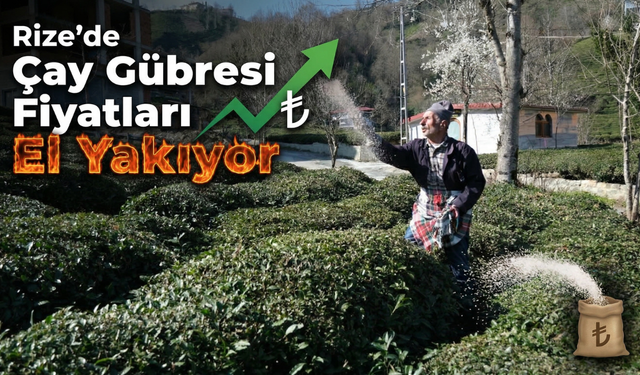 Rize’de Çay Gübresi Fiyatları El Yakıyor
