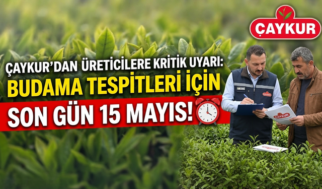 ÇAYKUR'dan Üreticilere Uyarı: Budama Tespitleri İçin Son Gün 15 Mayıs
