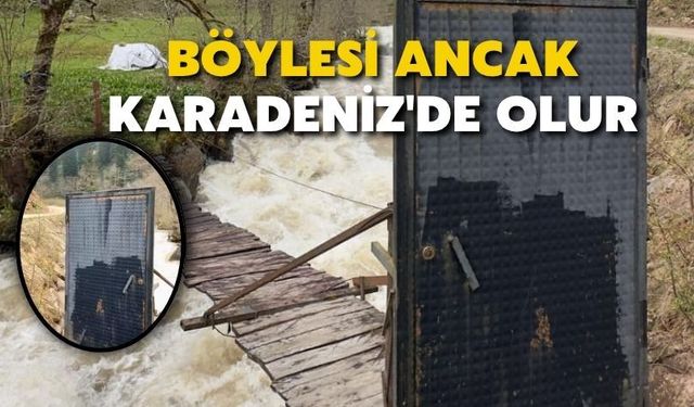 Böylesi Ancak Karadeniz'de Olur