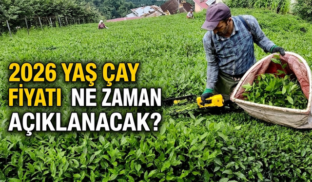 2026 Yaş Çay Fiyatı Ne Zaman Açıklanacak?