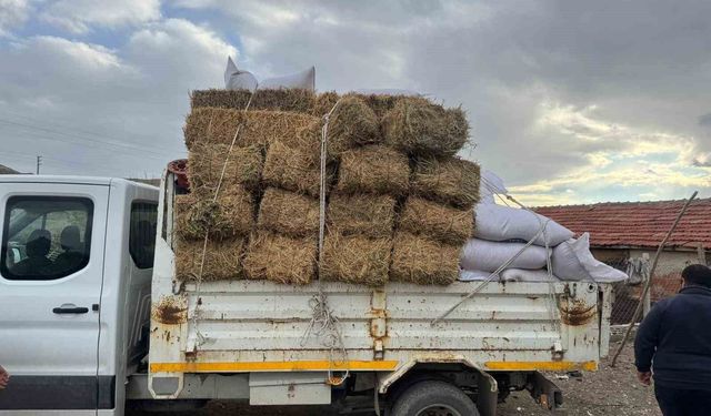 Üreticiye Müjdeli Haber: Saman Fiyatları Yarı Yarıya Geriledi
