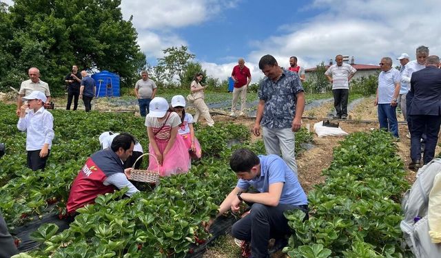 Yayla Çileği Aromasıyla Öne Çıkıyor